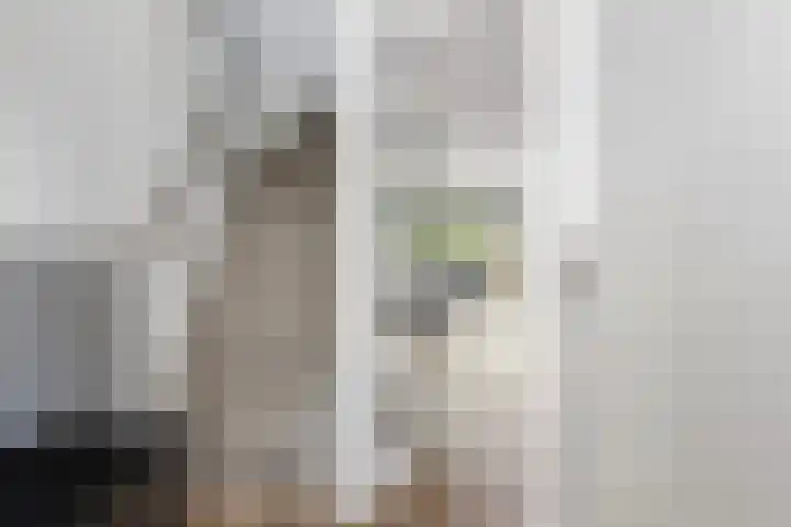 Larikshof 12 Papendrecht thumbnail 8