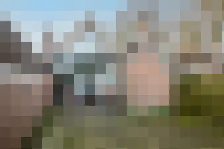 Larikshof 14 Putten thumbnail 23