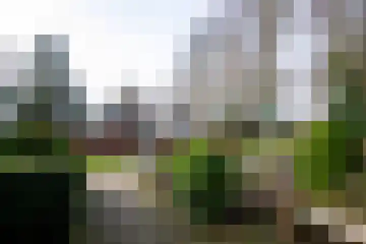 Larikshof 14 Putten thumbnail 25