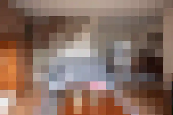 Larikshof 14 Putten thumbnail 8