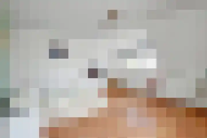 Larikshof 2 Papendrecht thumbnail 12
