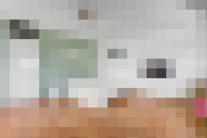 Larikshof 2 Papendrecht thumbnail 14