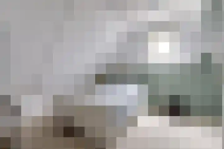 Larikshof 2 Papendrecht thumbnail 21