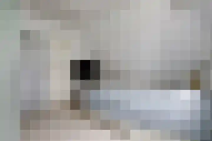 Larikshof 2 Papendrecht thumbnail 22