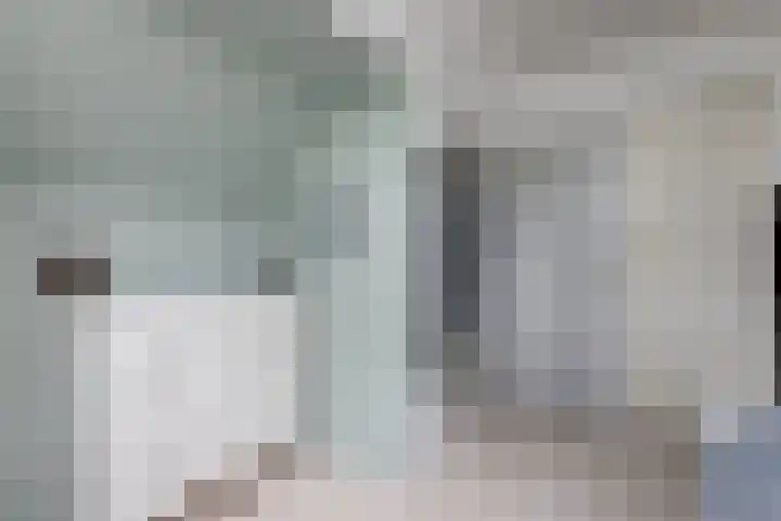 Larikshof 2 Papendrecht thumbnail 23