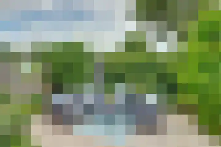 Larikshof 2 Papendrecht thumbnail 28
