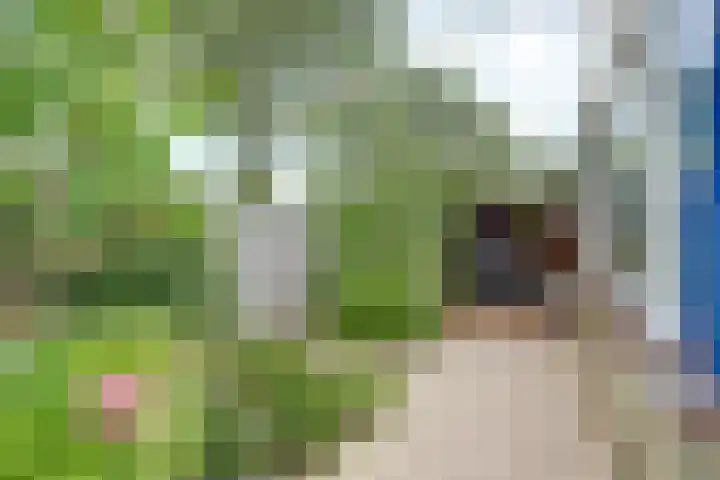 Larikshof 2 Papendrecht thumbnail 29