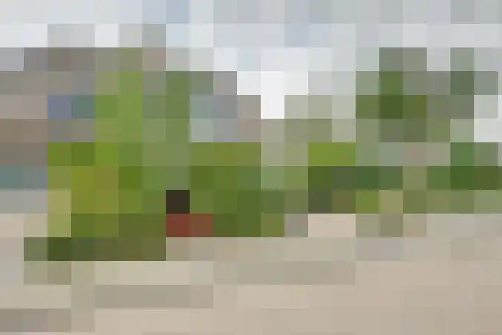 Larikshof 2 Papendrecht thumbnail 30