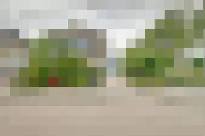 Larikshof 2 Papendrecht thumbnail 31