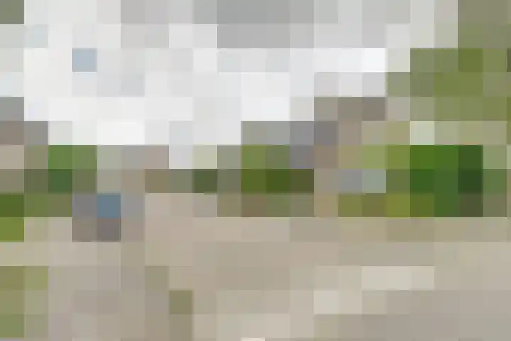Larikshof 2 Papendrecht thumbnail 32