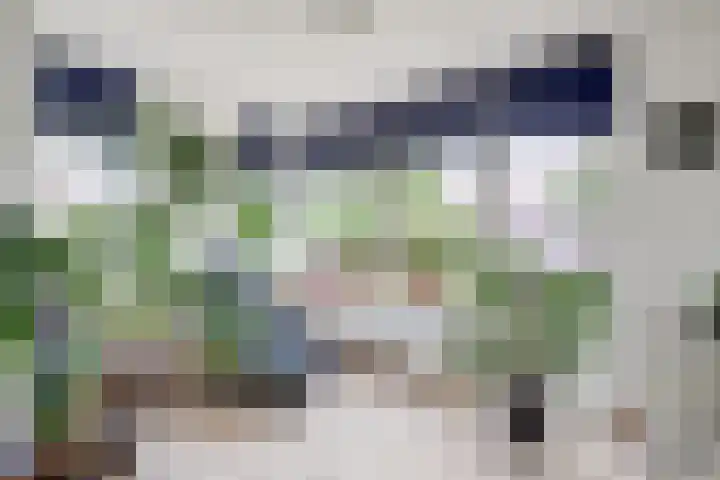 Larikshof 2 Papendrecht thumbnail 7