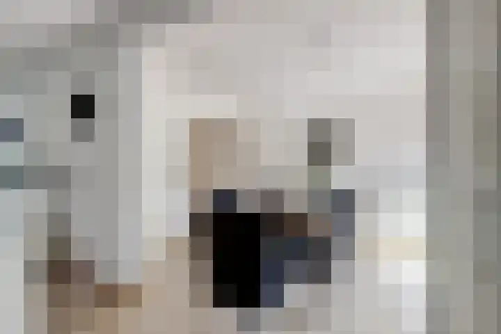 Larikshof 2 Papendrecht thumbnail 8