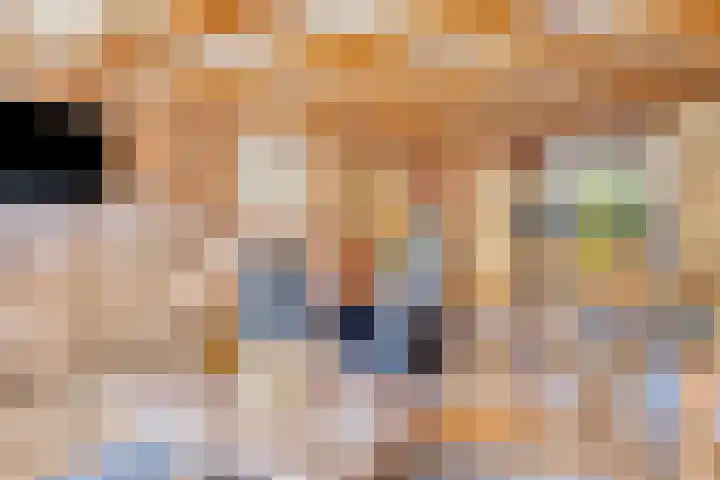 Larikshof 42 Papendrecht thumbnail 10