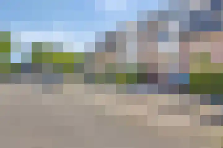 Larikshof 42 Papendrecht thumbnail 4