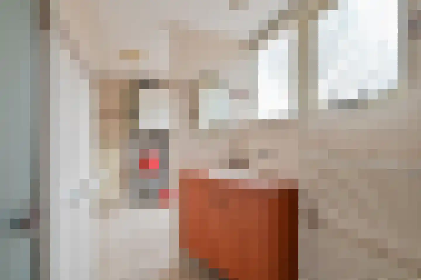 Larikshof 8 Putten thumbnail 12