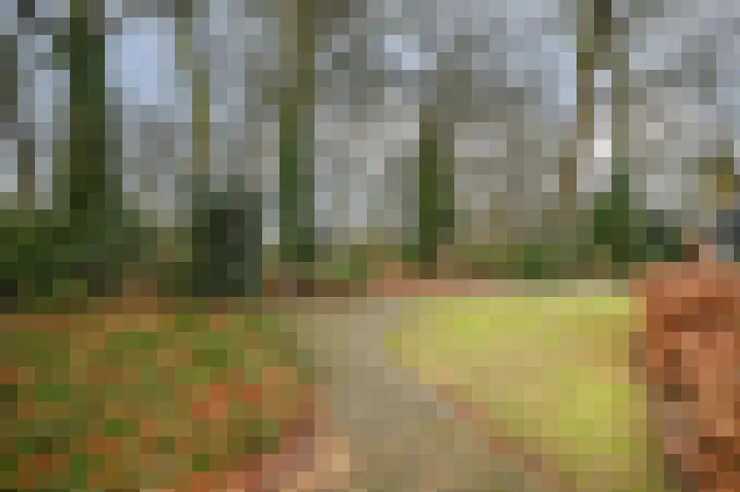 Larikshof 8 Putten thumbnail 26