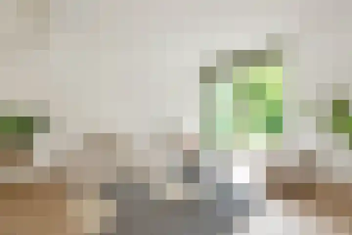 Larikslaan 1 f Leusden thumbnail 10