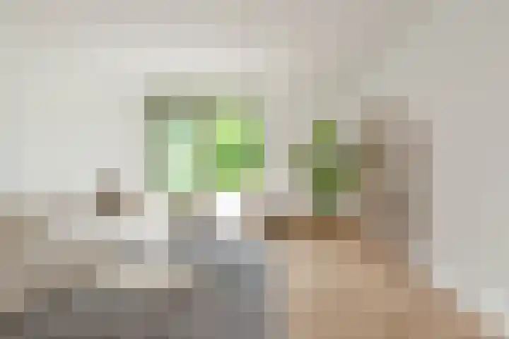Larikslaan 1 f Leusden thumbnail 11