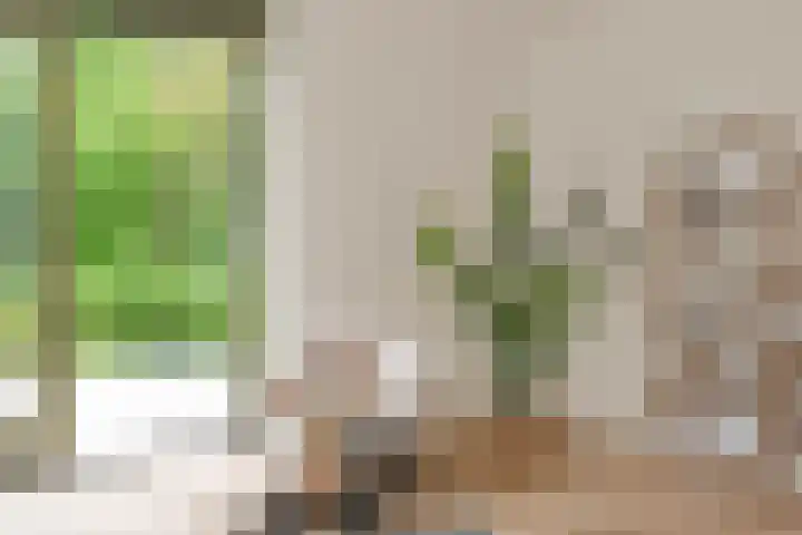 Larikslaan 1 f Leusden thumbnail 12