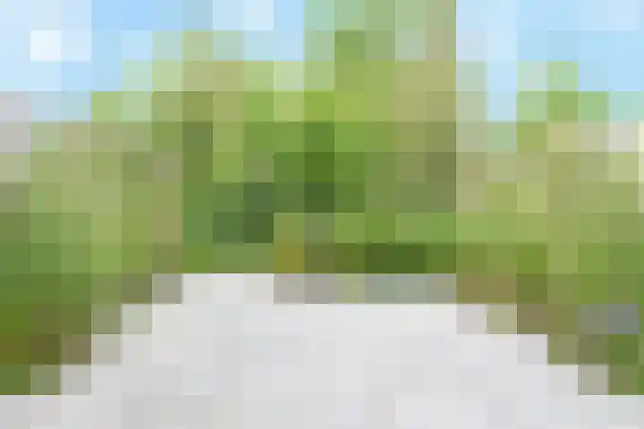 Larikslaan 1 f Leusden thumbnail 13