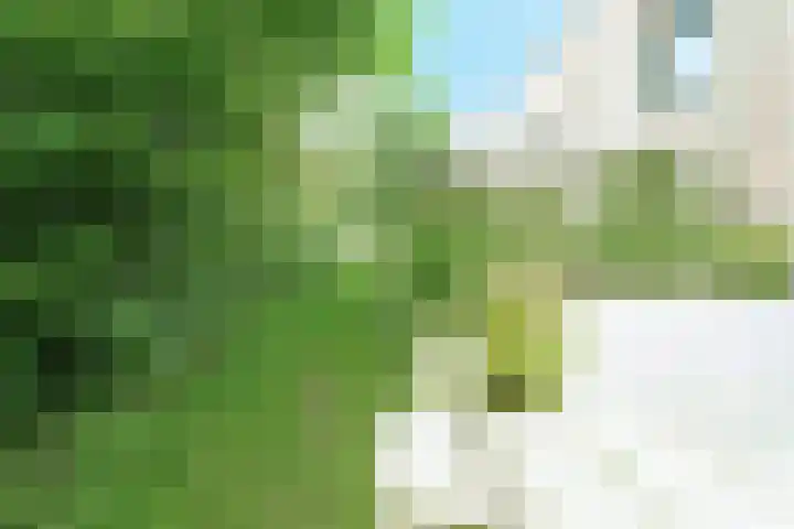 Larikslaan 1 f Leusden thumbnail 15
