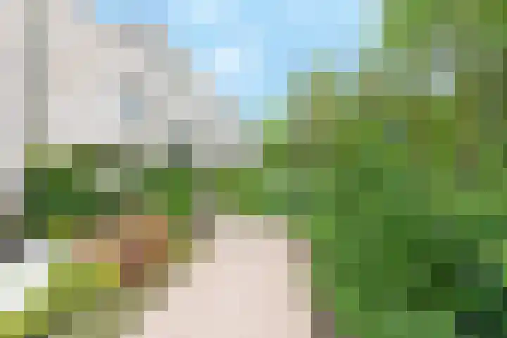 Larikslaan 1 f Leusden thumbnail 16