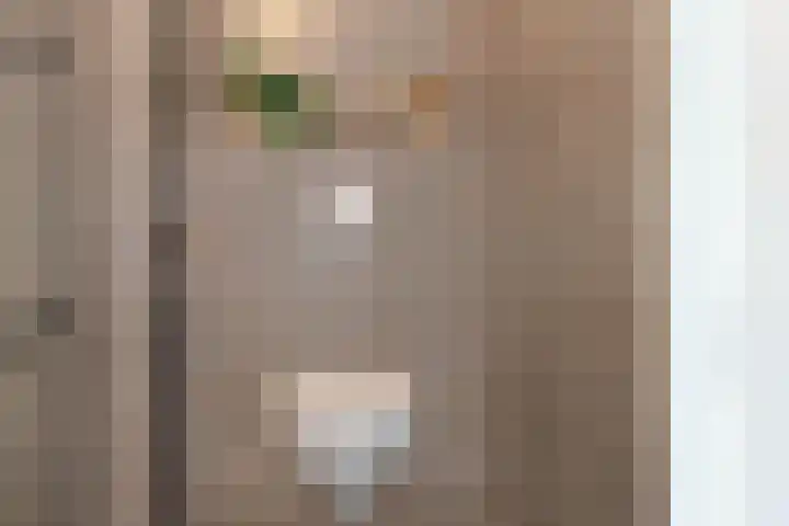 Larikslaan 1 f Leusden thumbnail 29