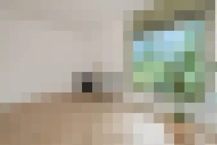 Larikslaan 1 f Leusden thumbnail 36