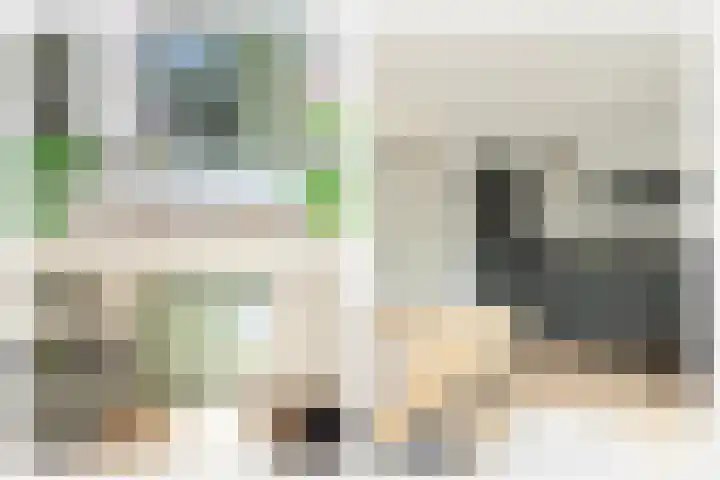 Larikslaan 1 f Leusden thumbnail 4