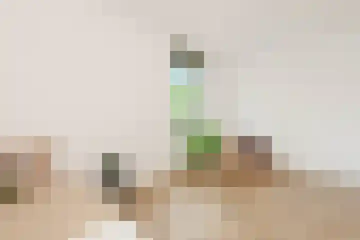 Larikslaan 1 f Leusden thumbnail 42