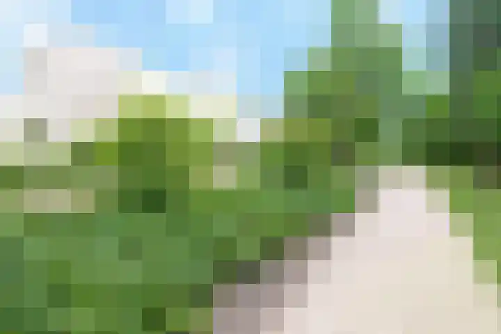 Larikslaan 1 f Leusden thumbnail 45