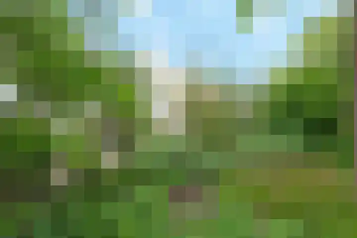 Larikslaan 1 f Leusden thumbnail 46