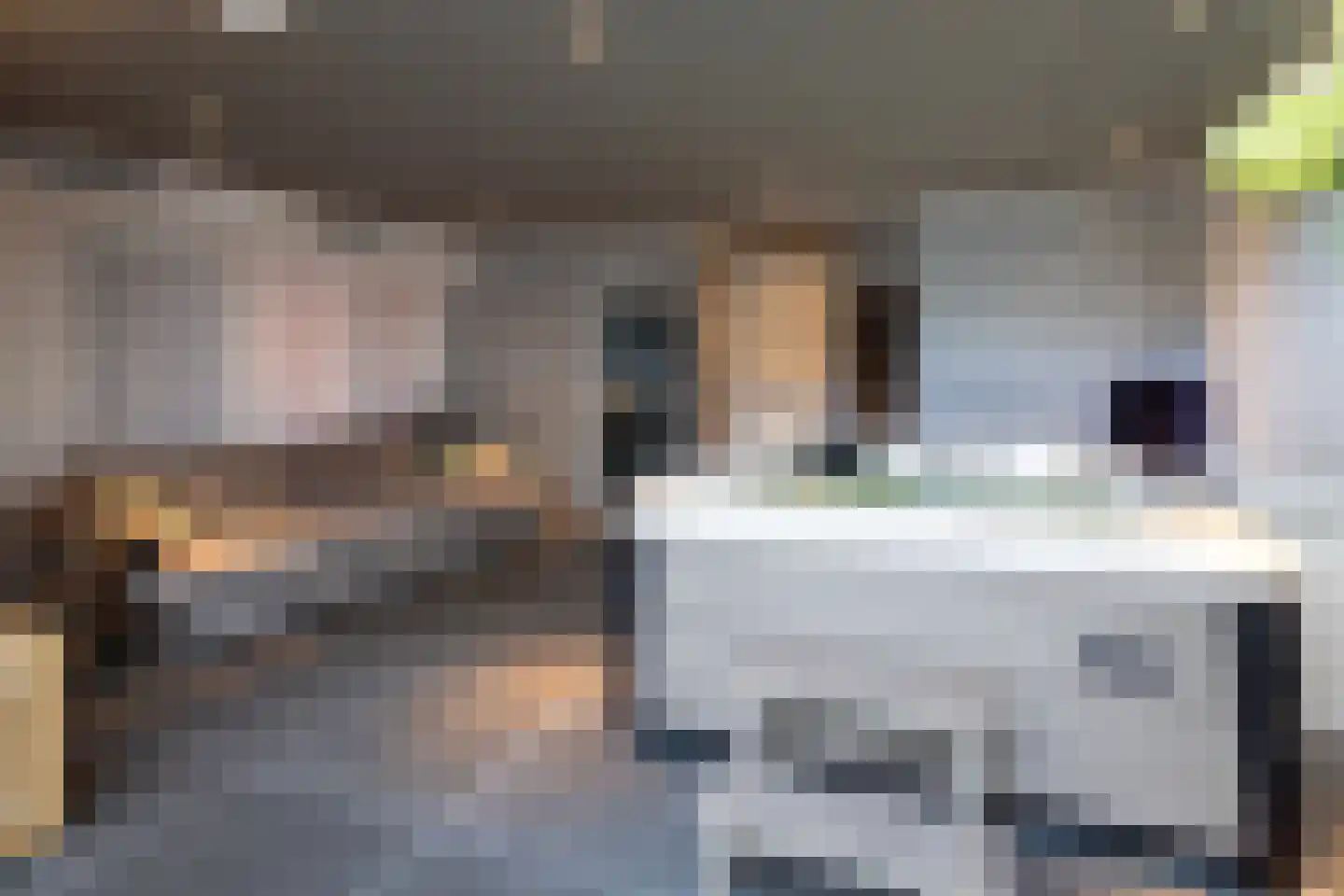Larikslaan 1 Oss thumbnail 11