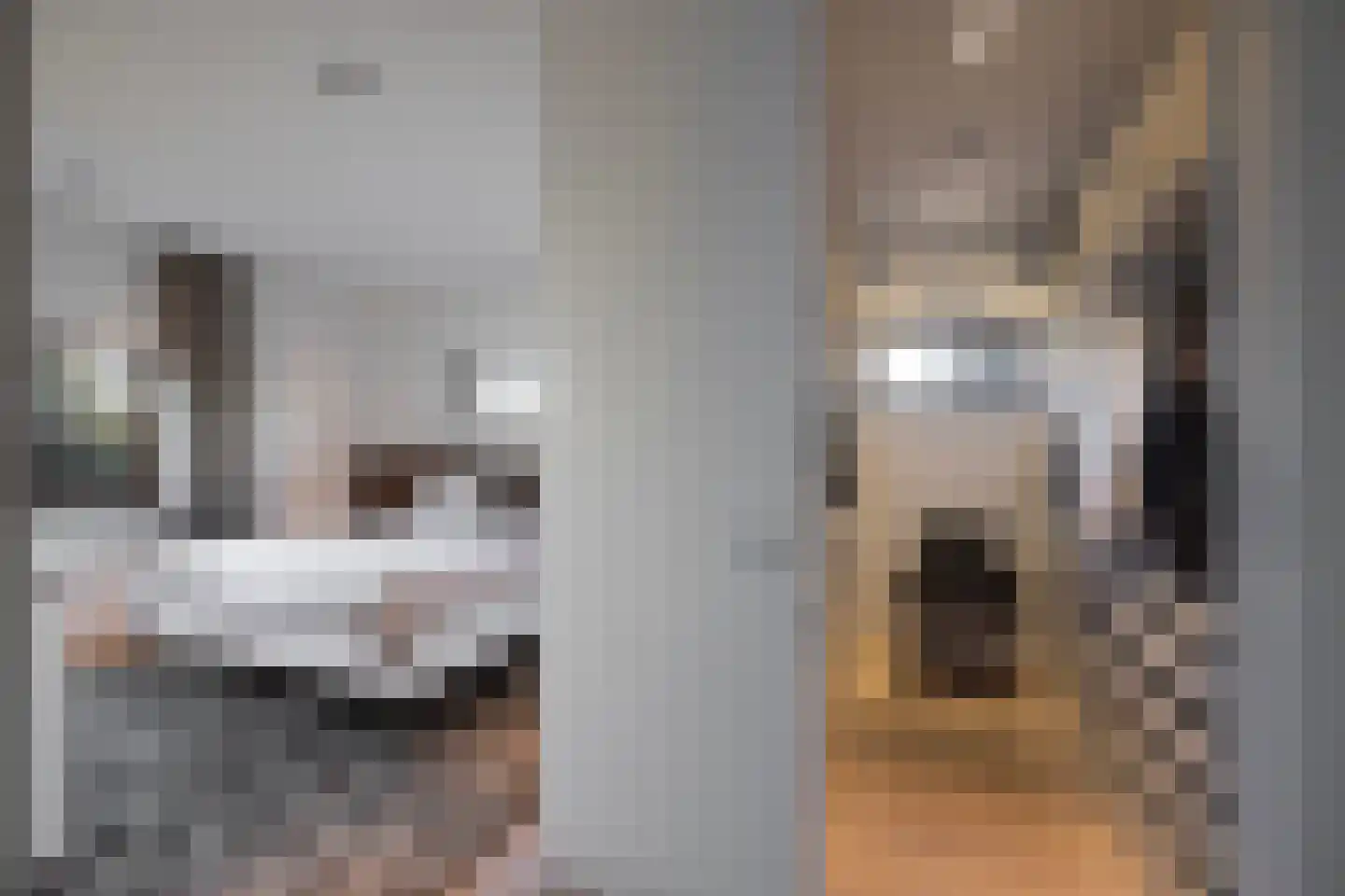 Larikslaan 1 Oss thumbnail 14