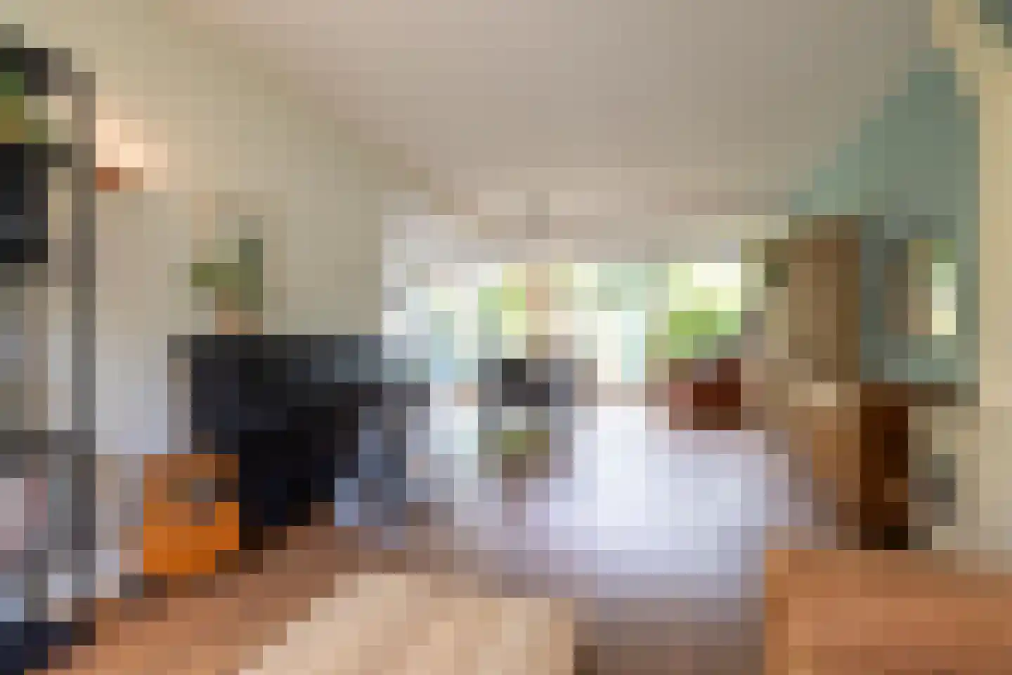 Larikslaan 135 Rotterdam thumbnail 10