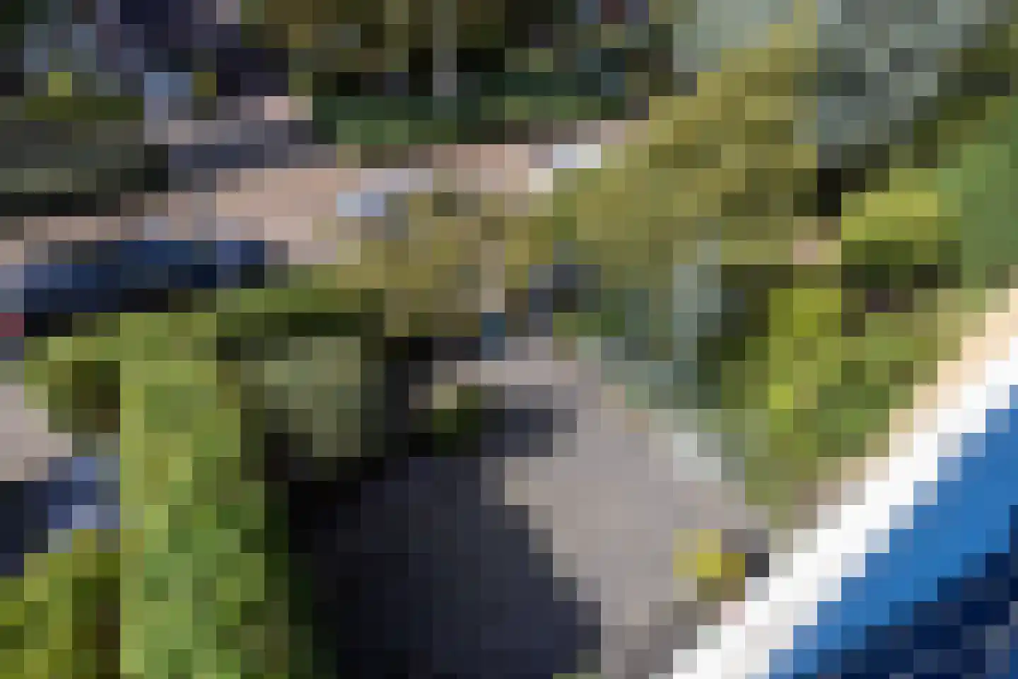 Larikslaan 135 Rotterdam thumbnail 28