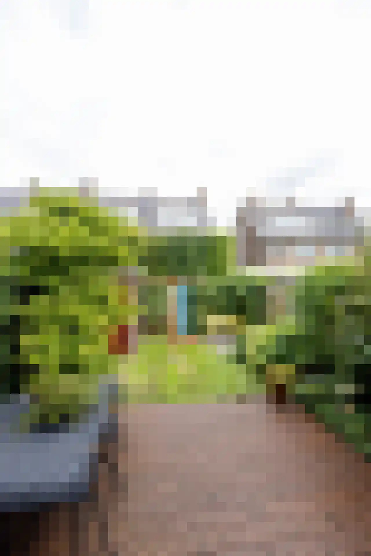 Larikslaan 135 Rotterdam thumbnail 38