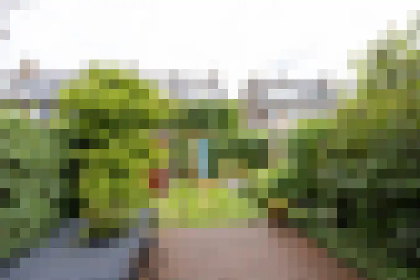 Larikslaan 135 Rotterdam thumbnail 6