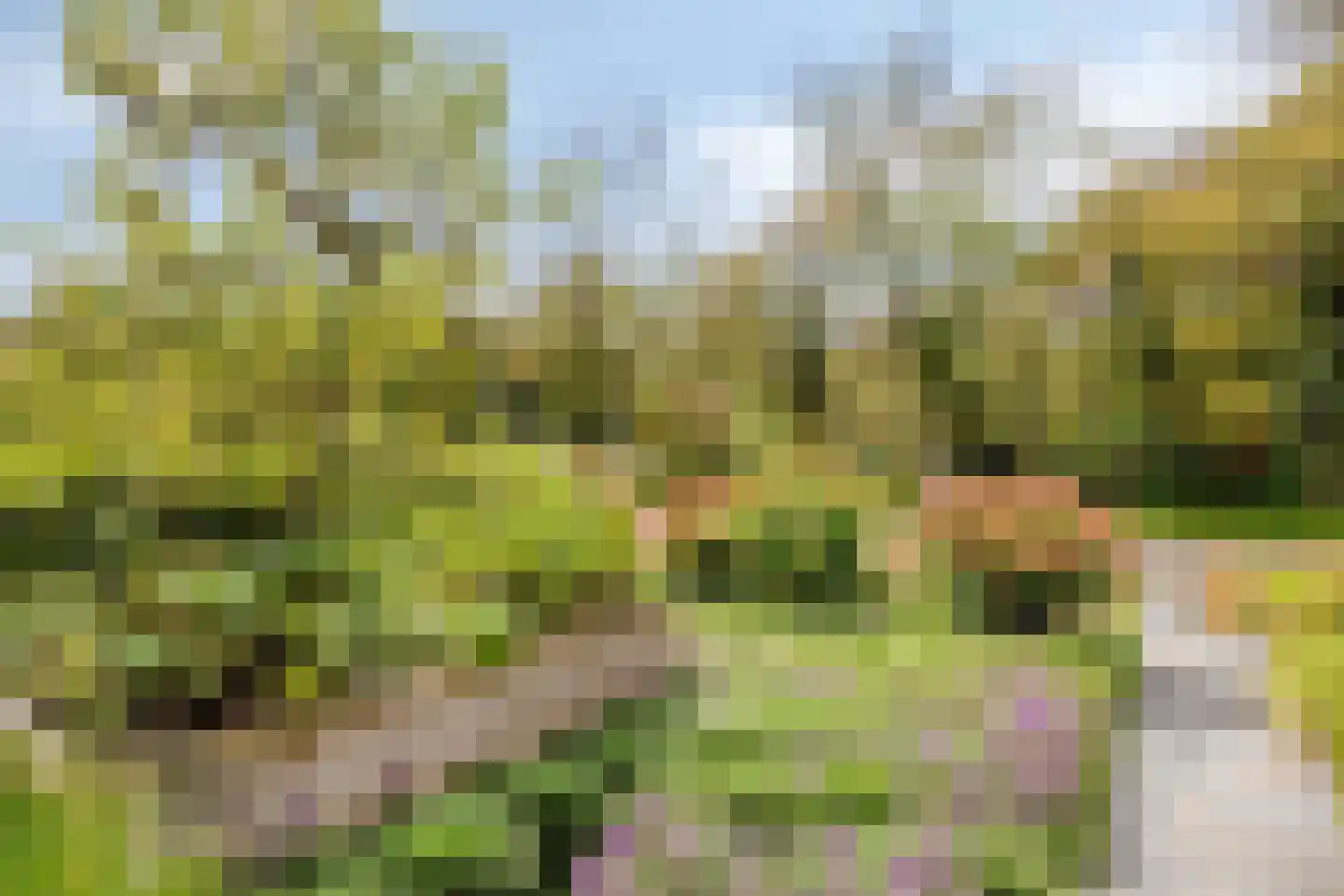 Larikslaan 15 Rosmalen thumbnail 100