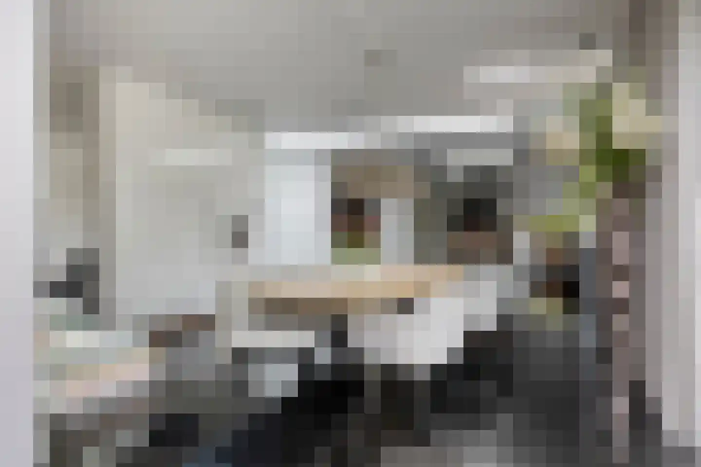 Larikslaan 15 Rosmalen thumbnail 11