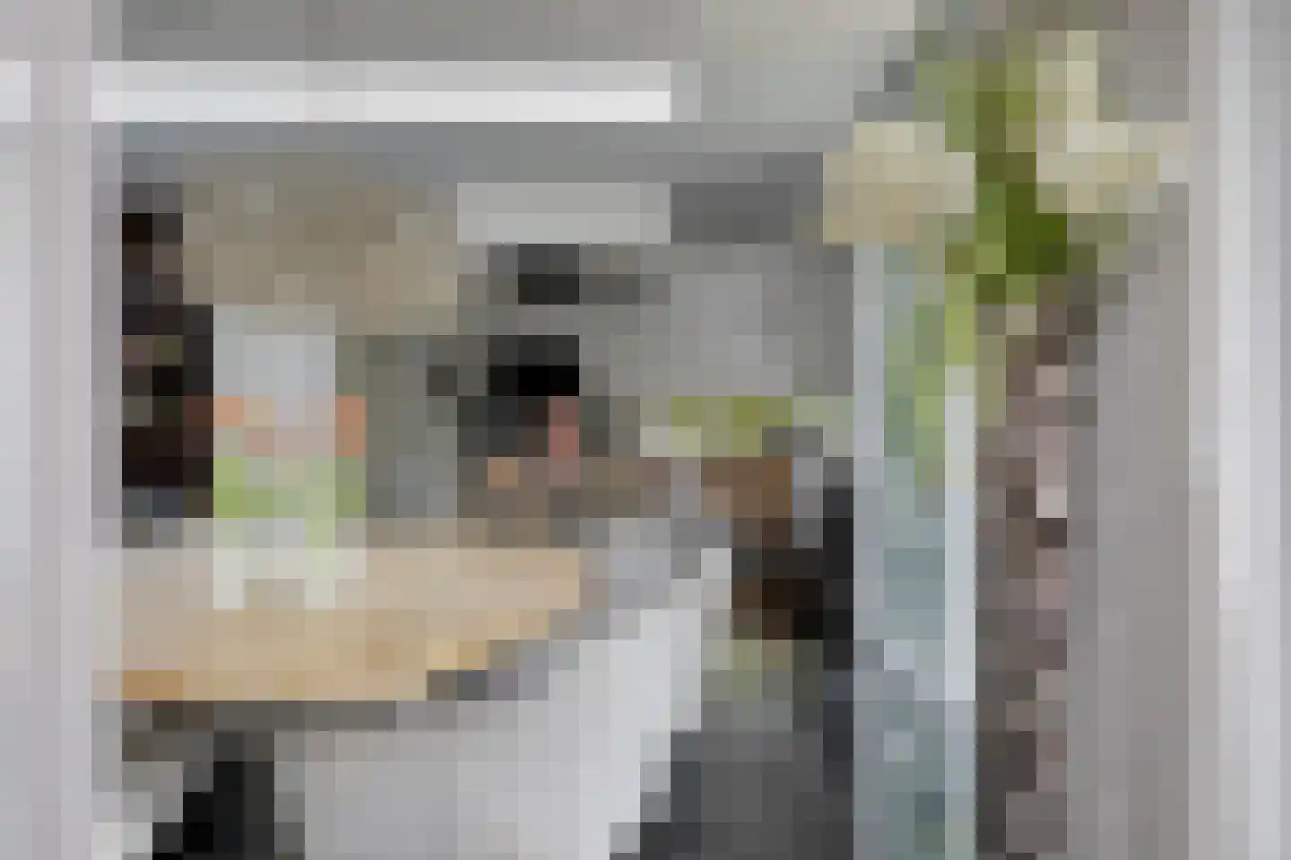 Larikslaan 15 Rosmalen thumbnail 12
