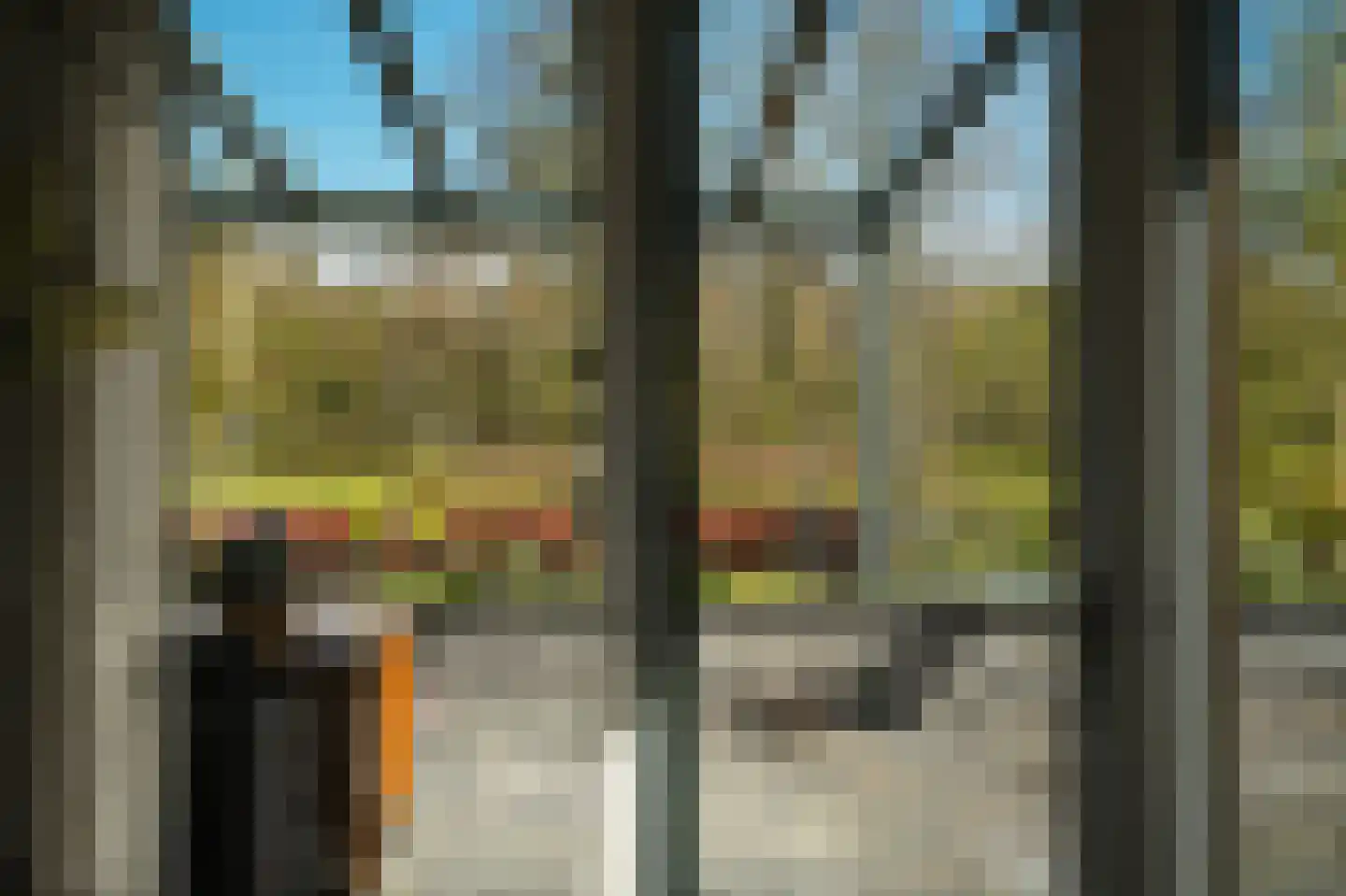 Larikslaan 15 Rosmalen thumbnail 13