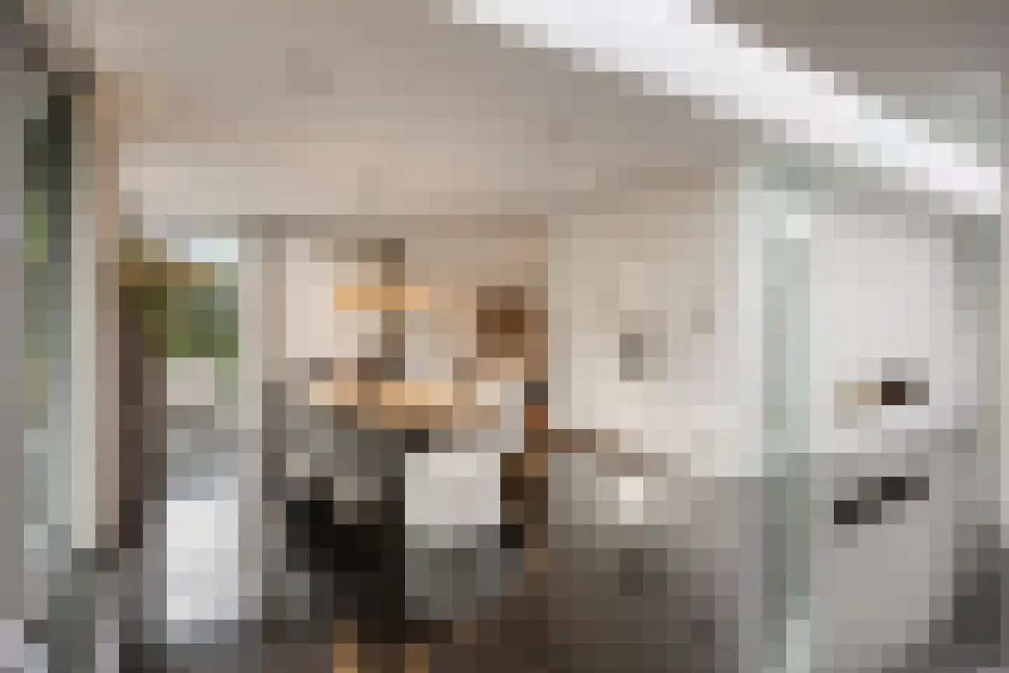 Larikslaan 15 Rosmalen thumbnail 16