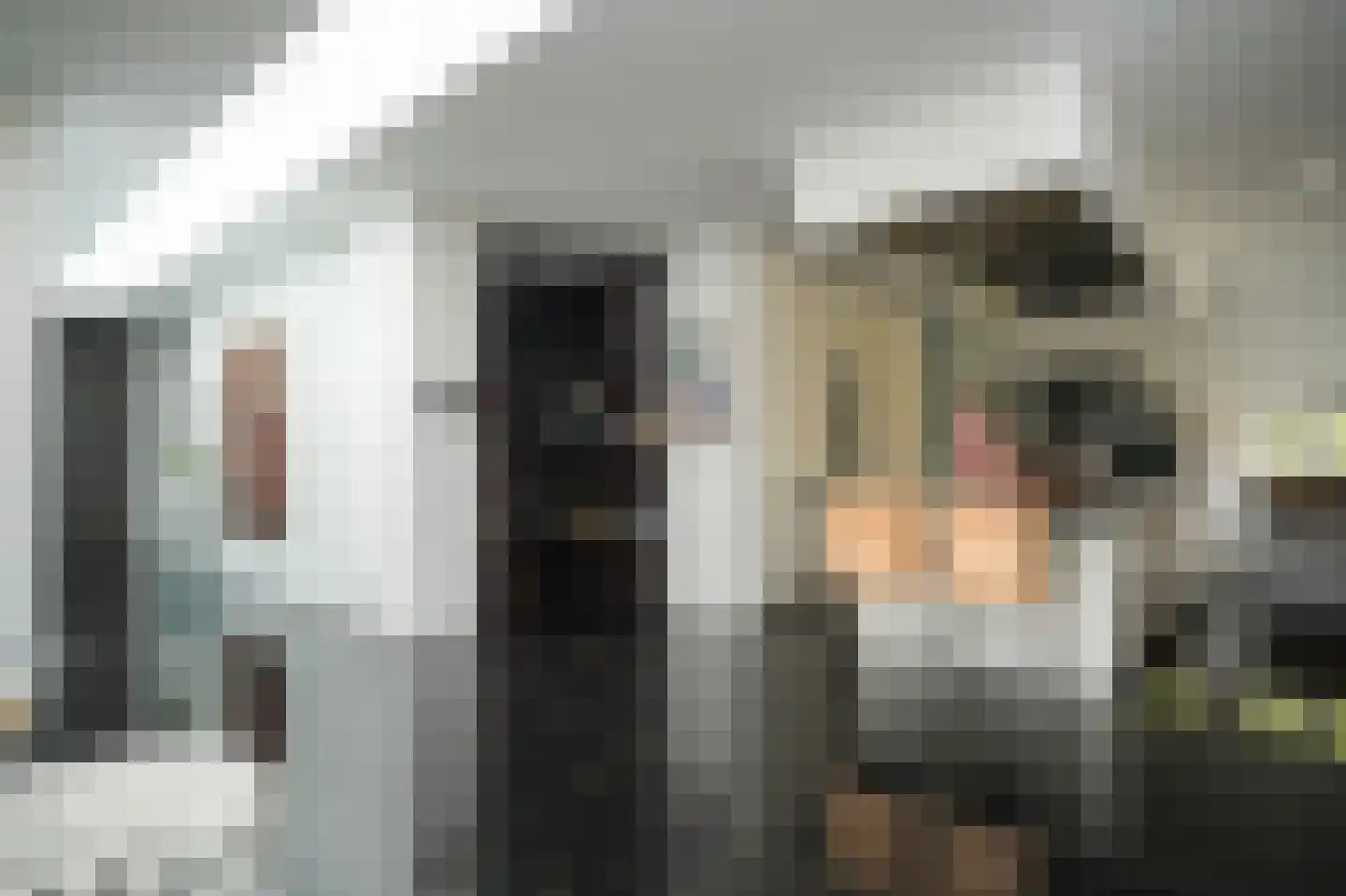 Larikslaan 15 Rosmalen thumbnail 17