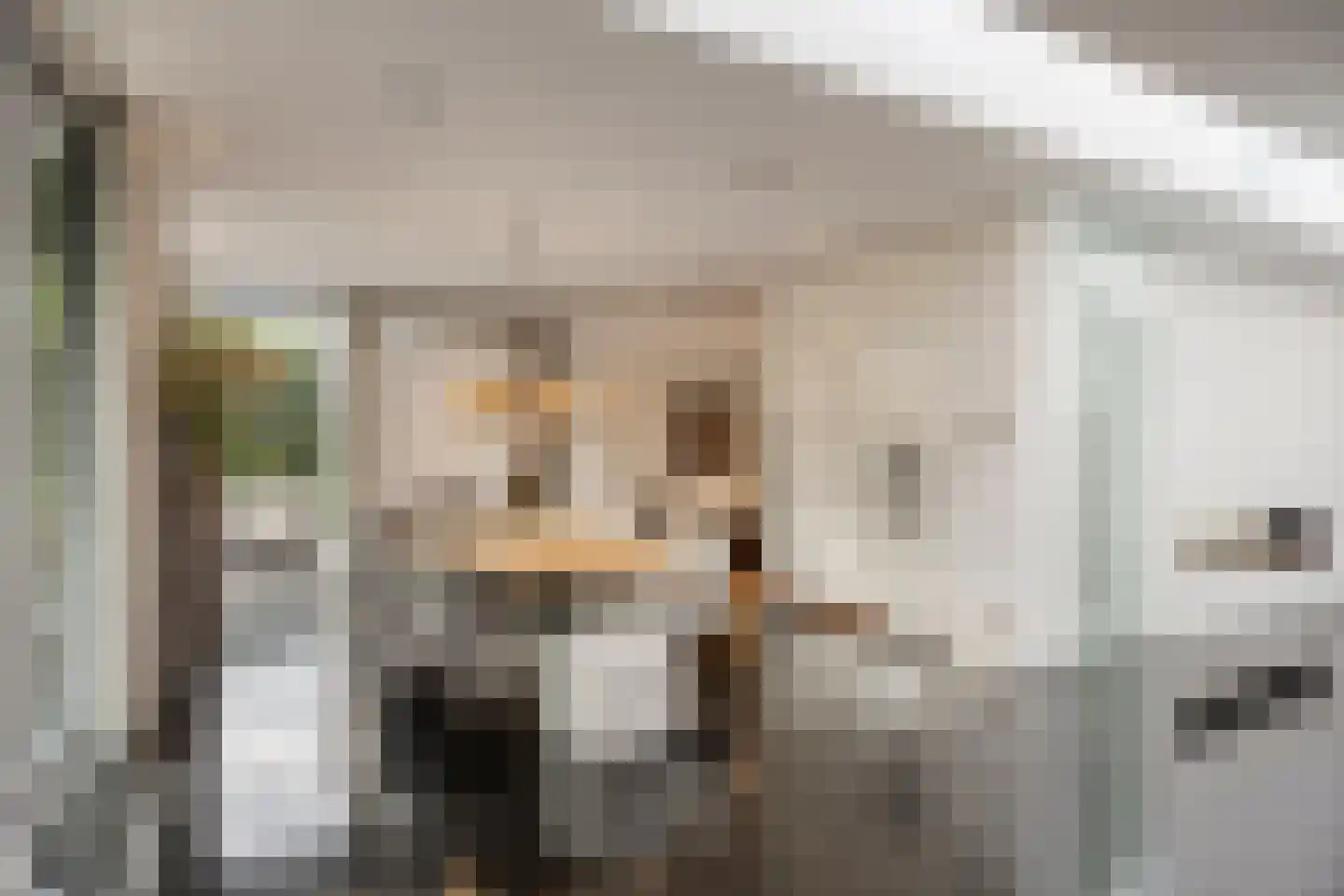Larikslaan 15 Rosmalen thumbnail 17