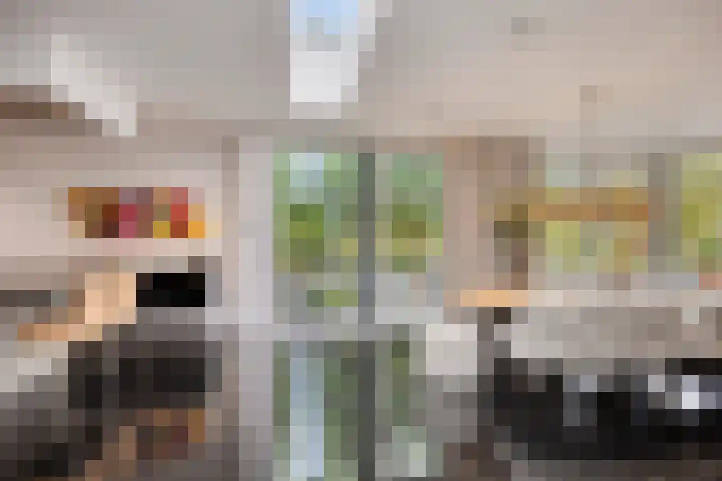 Larikslaan 15 Rosmalen thumbnail 18