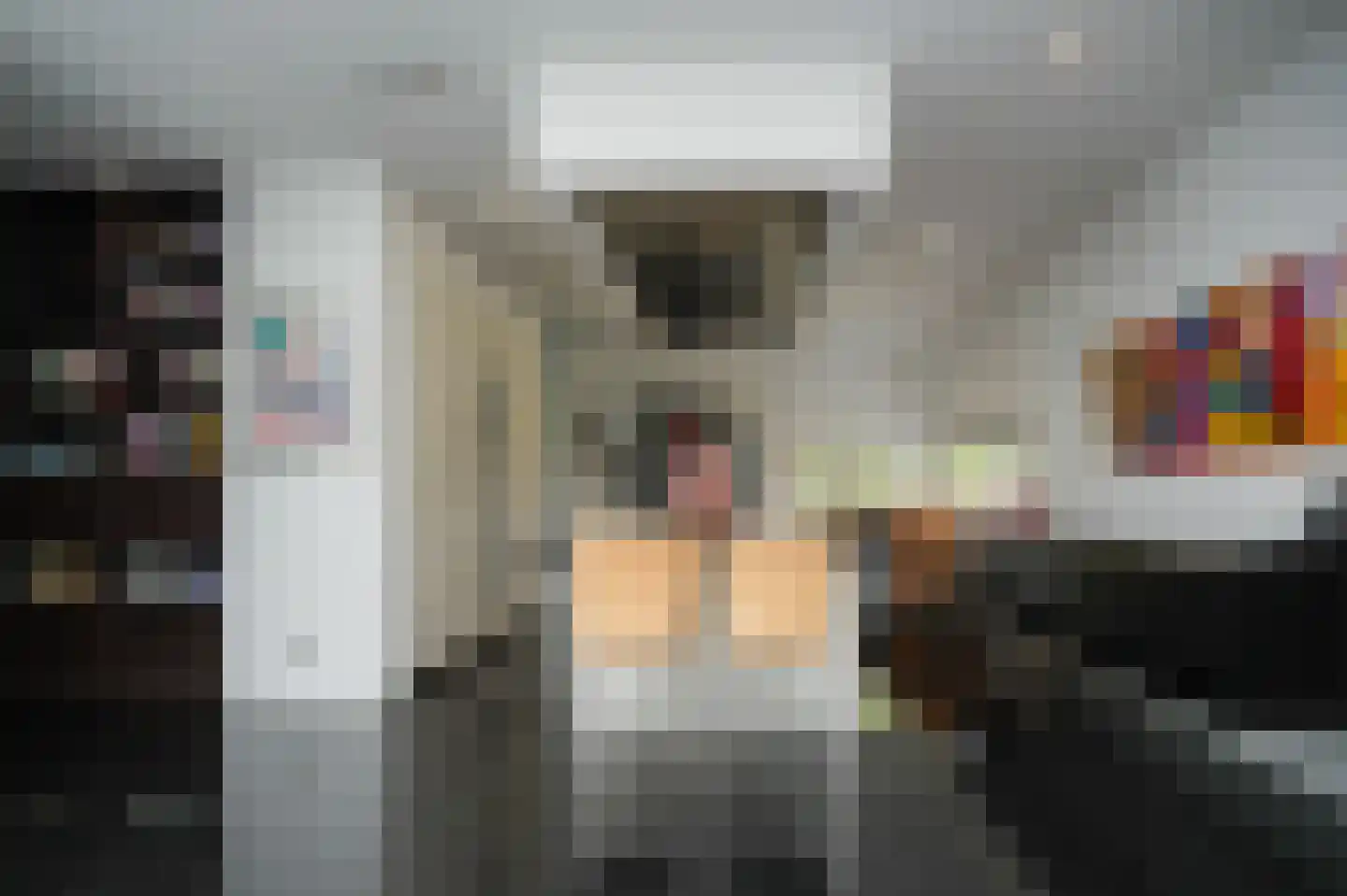 Larikslaan 15 Rosmalen thumbnail 19