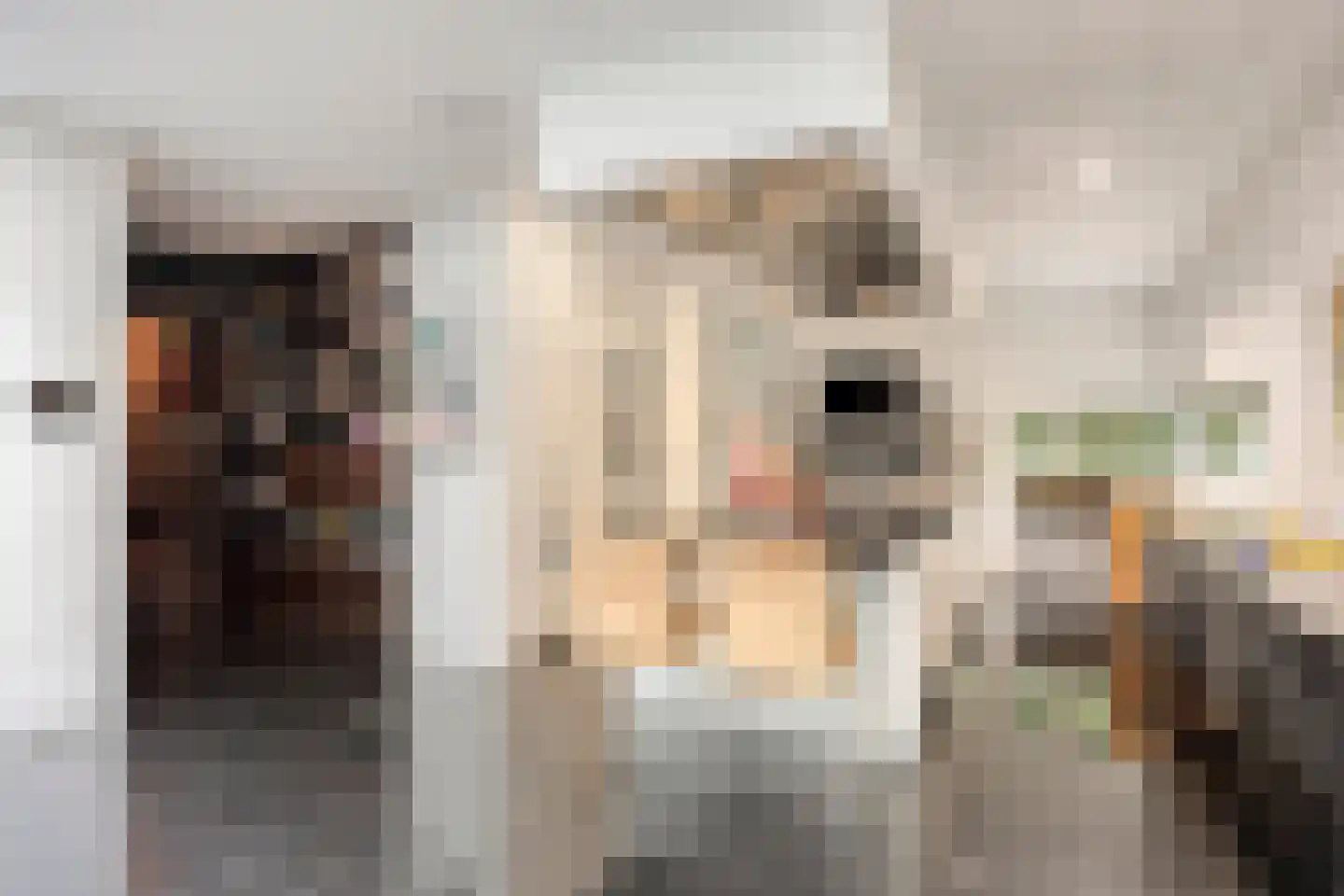 Larikslaan 15 Rosmalen thumbnail 19