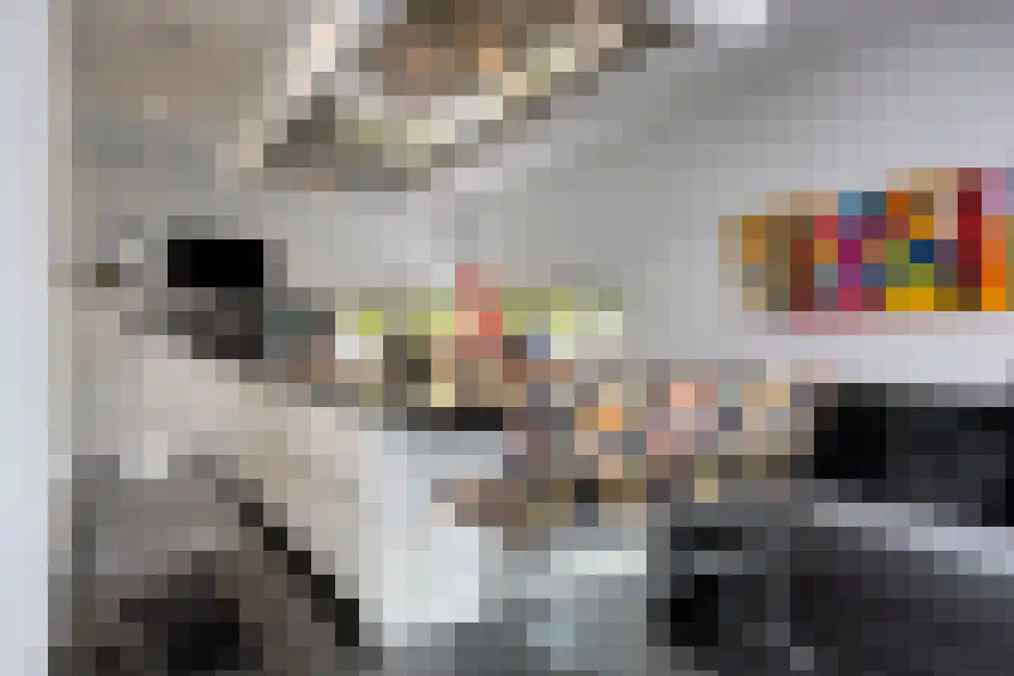 Larikslaan 15 Rosmalen thumbnail 20