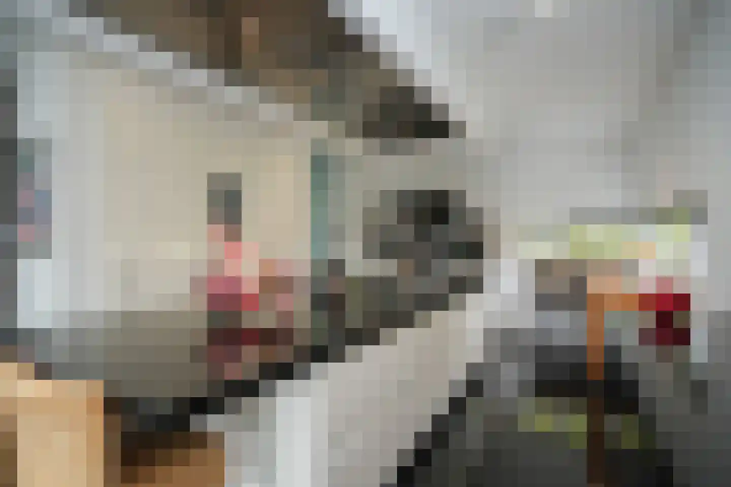Larikslaan 15 Rosmalen thumbnail 22